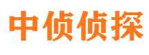 荣昌市调查公司